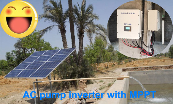 1617672669719449.jpg 1.jpg